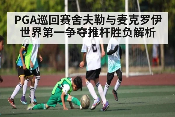 PGA巡回赛舍夫勒与麦克罗伊世界第一争夺推杆胜负解析